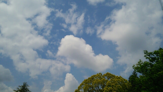 20170518212408402.jpg