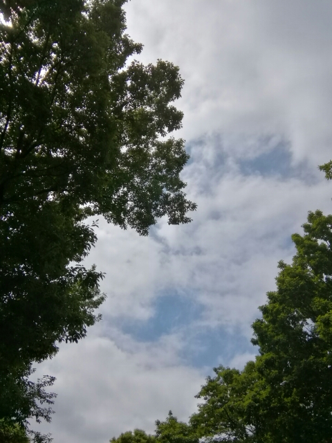 20180524182031757.jpg