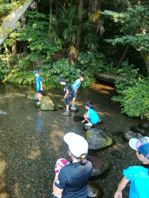 20180718205743550.jpg