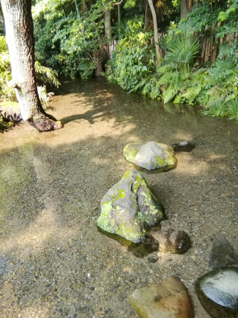 20180718205805146.jpg
