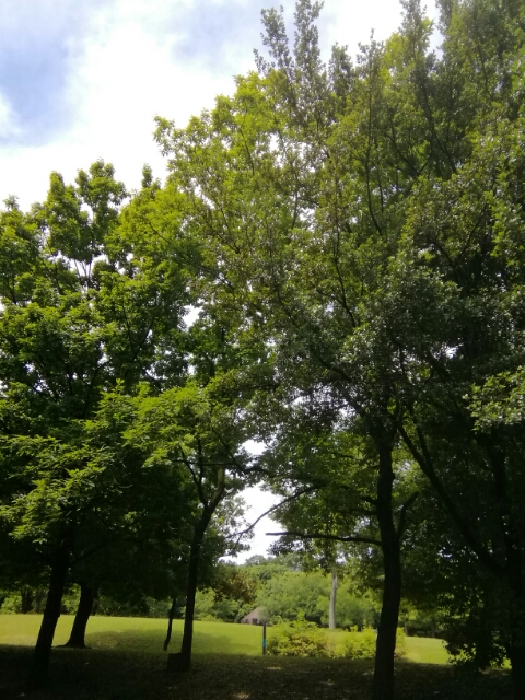 20180607213246051.jpg