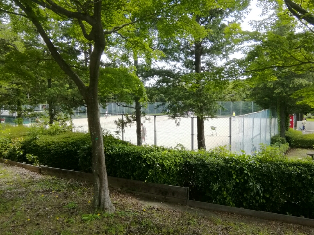 20180614213040320.jpg