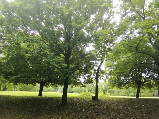 20180621201139488.jpg