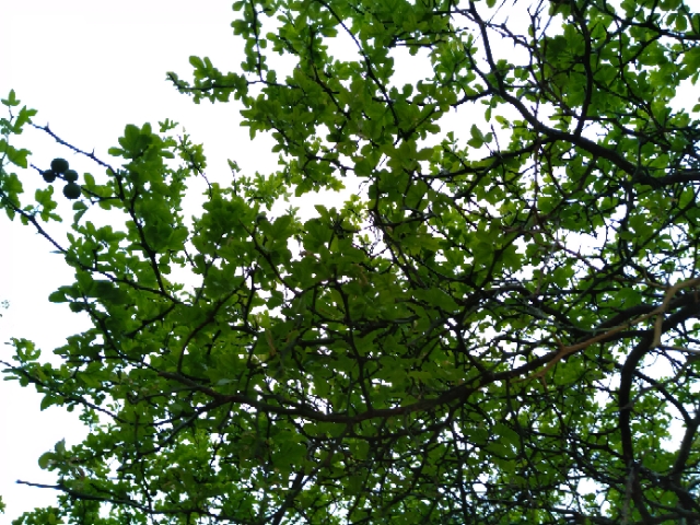 20200522211902663.jpg